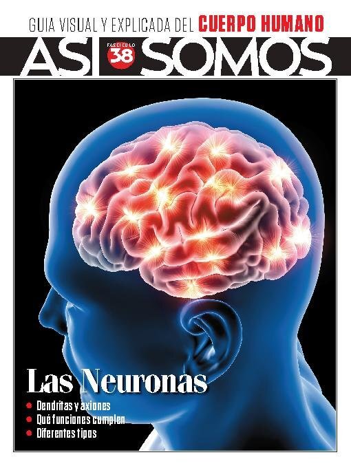 Title details for Así Somos - El cuerpo humano by Media Contenidos - Available